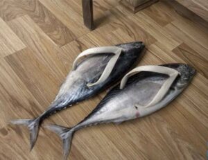 fish-flip-flops