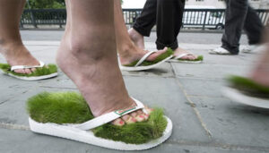grass-shoes